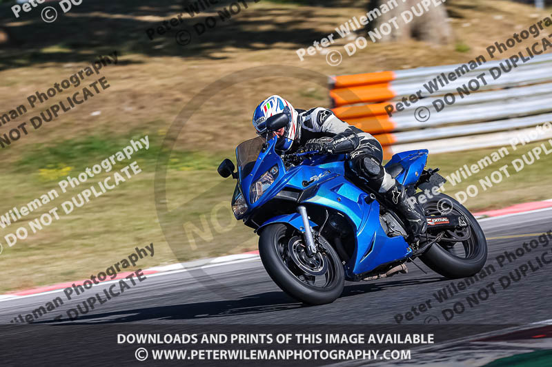 brands hatch photographs;brands no limits trackday;cadwell trackday photographs;enduro digital images;event digital images;eventdigitalimages;no limits trackdays;peter wileman photography;racing digital images;trackday digital images;trackday photos